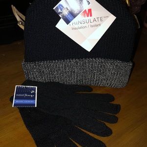 3M Thinsulate hat & west loop magic gloves